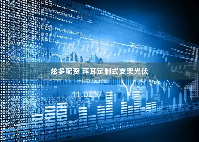 炫多配资 拜耳定制式支架光伏